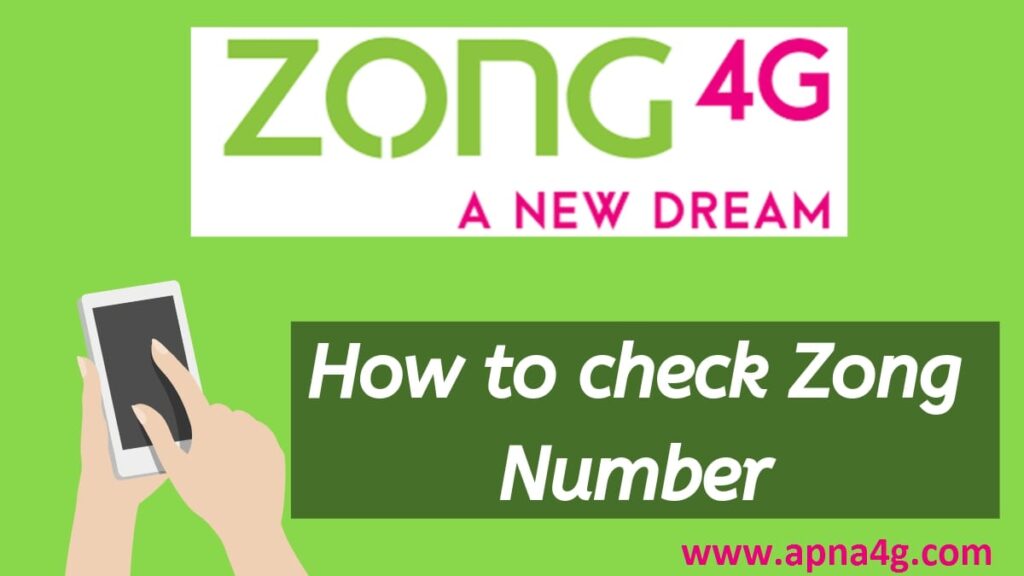 Check Zong Number Code 2020