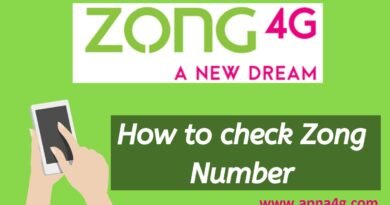 Check Zong Number Code 2020