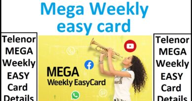 Telenor Weekly EasyCard Mega info