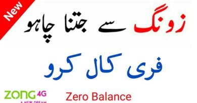 Zong To Zong Free Minutes