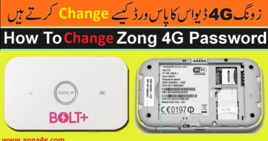 Change Zong Bolt Password Steps