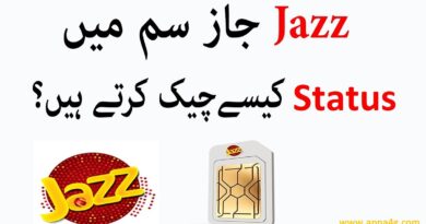 Check Jazz Package Status Details