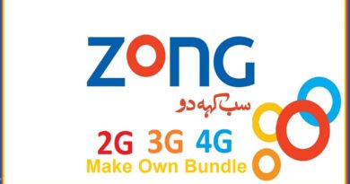 Zong Make Your Own Code