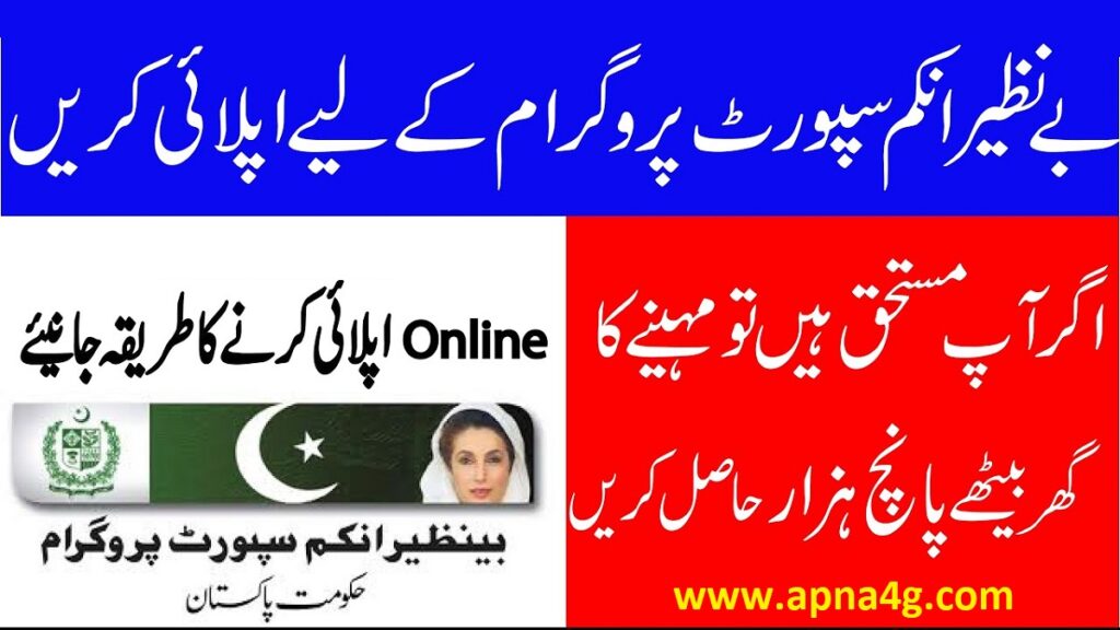 Benazir Income Support Programme Form