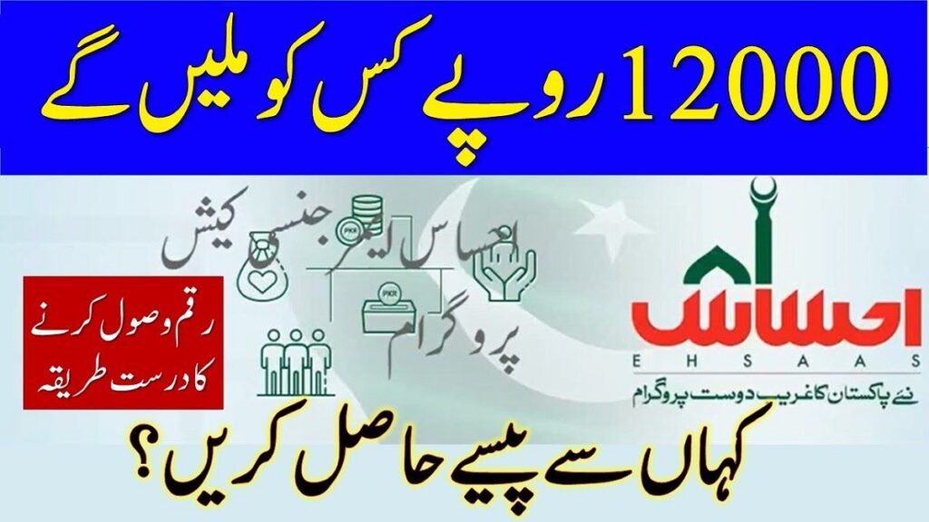 Ehsaas Program 12000 Online Check