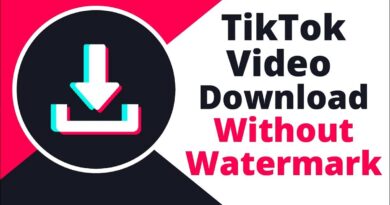 Tiktok Video Downloader Without Watermark
