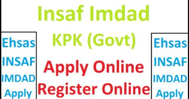 8583 KP Insaf Imdad Program