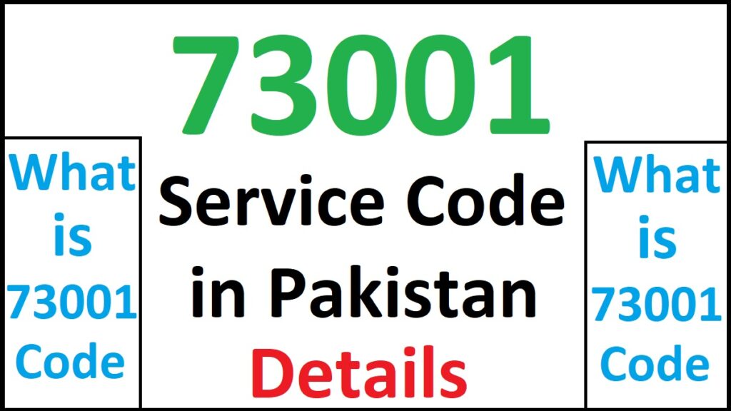 73001 Zong Details