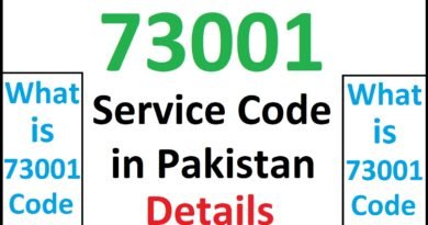 73001 Zong Details