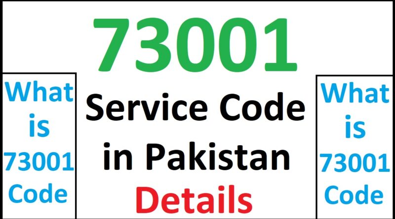 73001 Zong Details