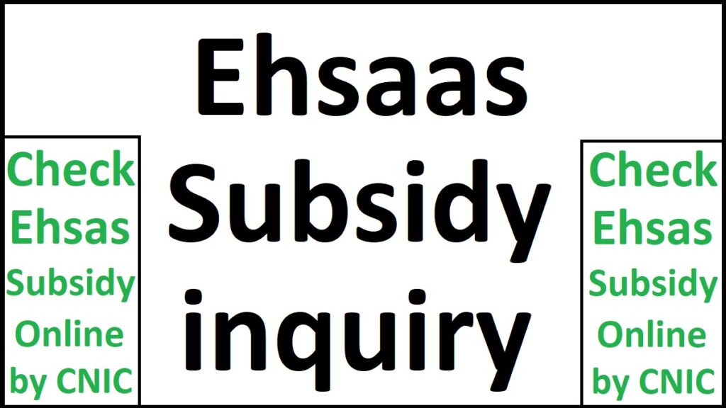 Ehsaas Subsidy Inquiry