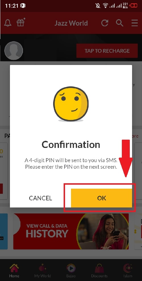 4 digit pin