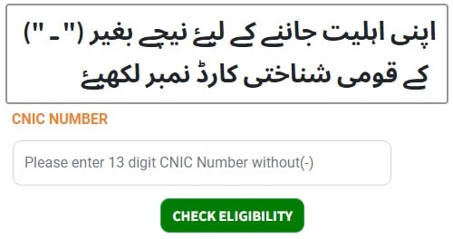 Check Online By Entering CNIC Number