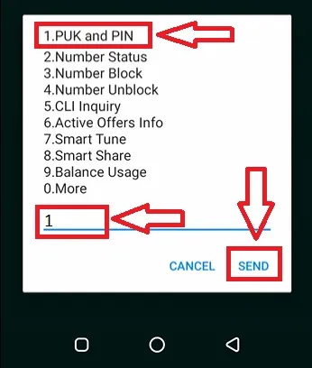 What is Telenor SIM PUK Code Unlock