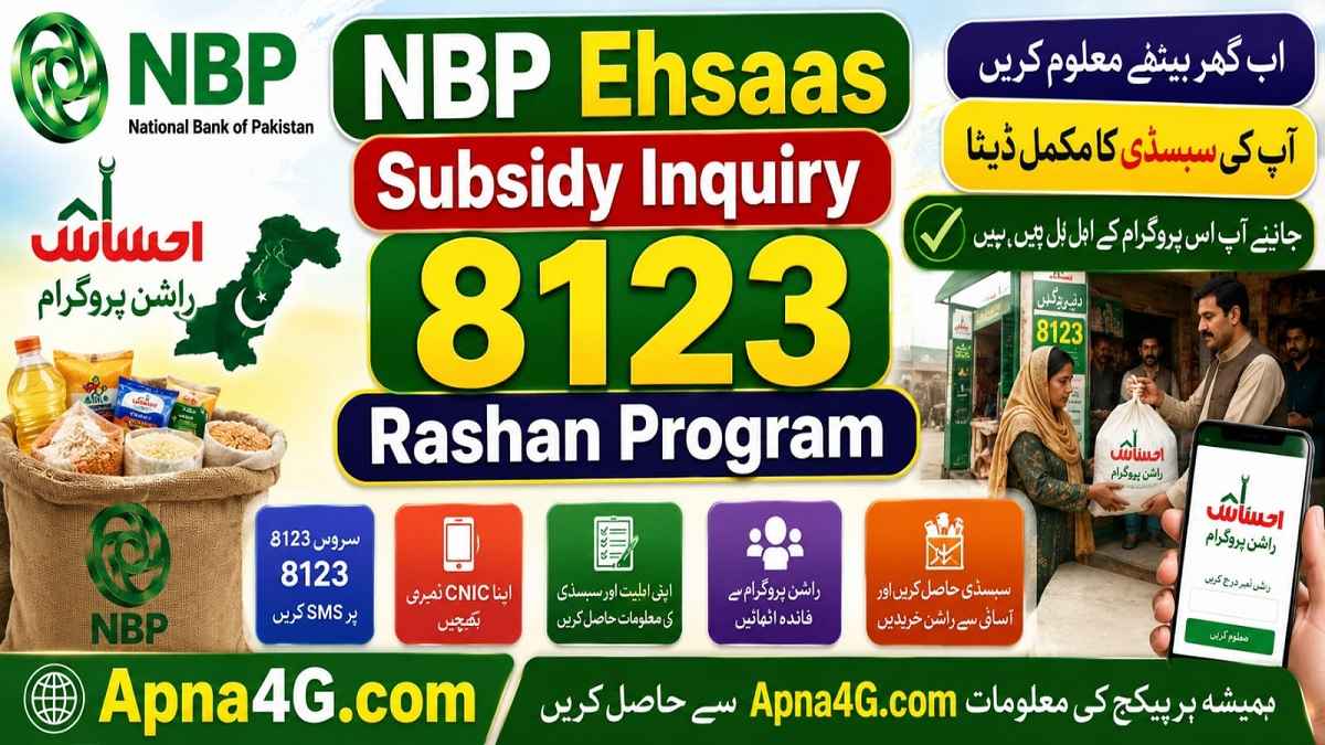Ehsaas Subsidy Inquiry