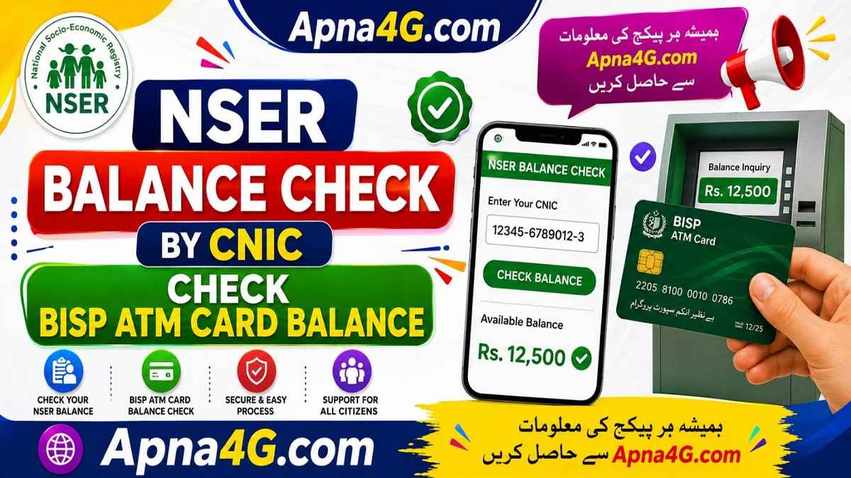 NSER Balance Check