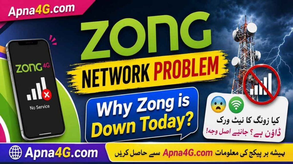 Zong Network Problem Details