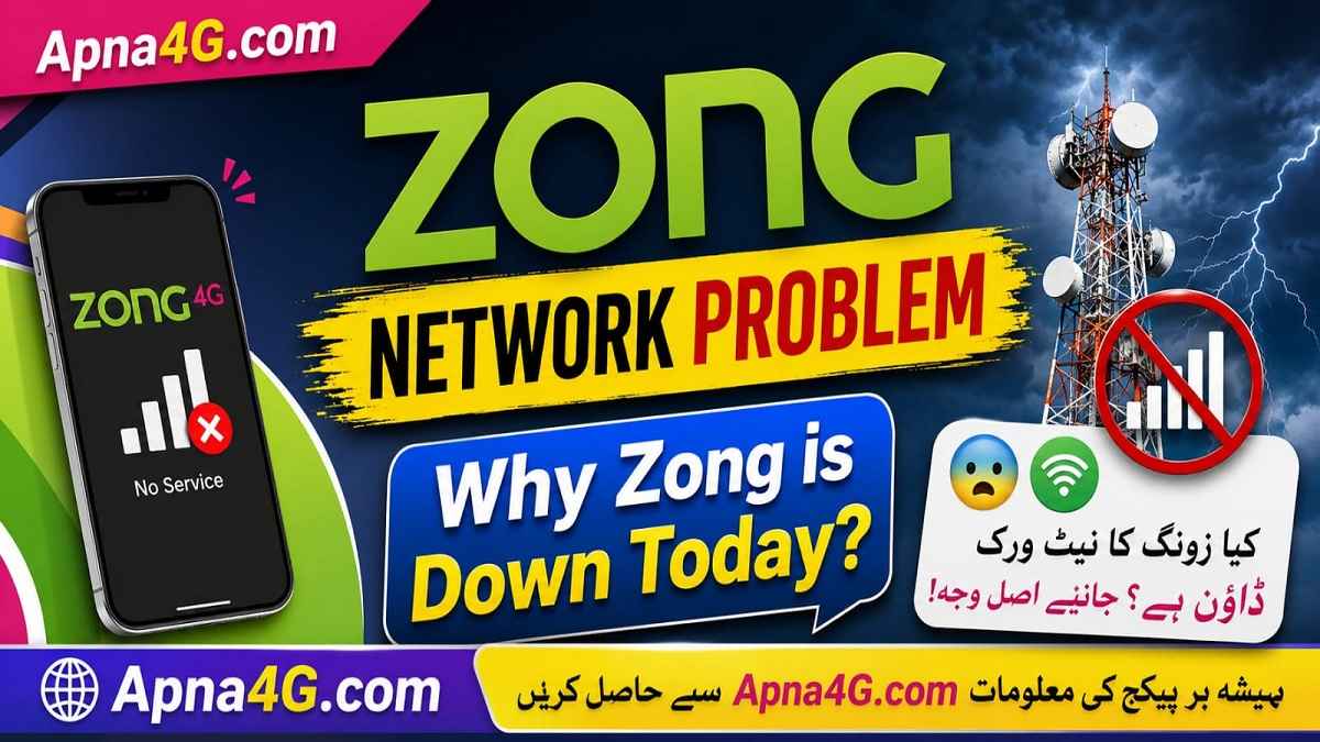 Zong Network Problem Details
